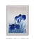 Flores de Íris por Ohara Koson - comprar online