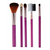 Set 5 Brochas Pinceles Maquillaje Make Up Profesional Viaje