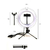 Ring light 8 polegadas (20cm) com tripé de mesa e suporte para celular na internet
