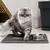 Impermeável dupla camada Pet Litter Mat, caixa de vaso sanitário do gato, arei na internet