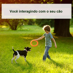 brinquedo interativo cachorro - ASAS