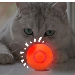 Bola eletrica para gato - loja online
