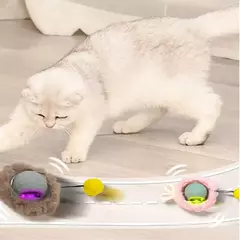 Brinquedo interativo gato