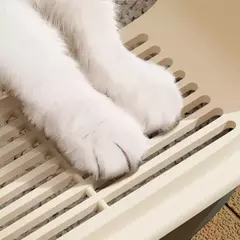 Caixa de areia para gatos - ASAS