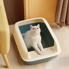 Caixa de areia para gatos na internet