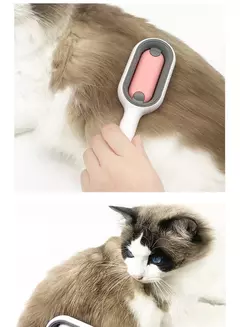 Escova para gato na internet