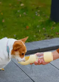 Garrafa de agua para cachorro