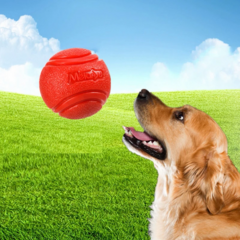 Bola para cachorro - loja online