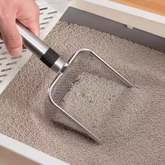 Pá para areia de gato na internet