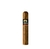 Charuto dannemann robusto mata fina - unidade - comprar online