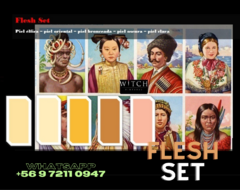 SET Flesh (colores piel)