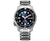 Citizen Promaster NY010050M