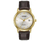 Citizen Eco Drive AW123212A