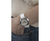 Reloj Guess Pearl GW0381L1 - tienda online