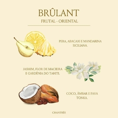 Difusor de Varetas Brûlant 190 ML - comprar online