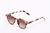 Oculos Ben Tartarugado Claro - comprar online