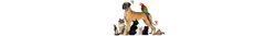 Banner da categoria Pet Shop