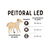 Peitoral Led 3 Funções - Jalima