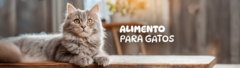 Banner de la categoría Alimentos Gato