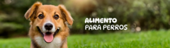 Banner de la categoría Alimentos Perro