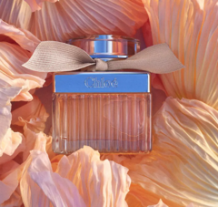 Perfume Chloé (Inspiração) - comprar online