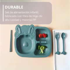 Set alimentación Oveja