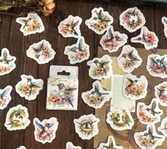 Stickers en cajita - Colibríes - comprar en línea