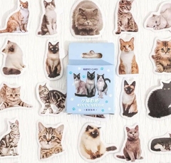 Stickers cajita Perros y Gatos - comprar en línea