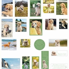 Stickers perritos Golden Retriever