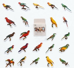 Stickers en cajita - pajaritos/aves