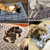 Super cama do cachorro, cama de gato - loja online