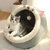 Almofada de descanso lavável para animais de estimação, Cama para gato, na internet
