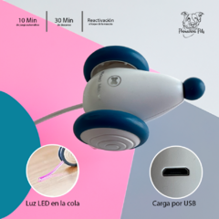 Ratón automático para gatos con luces LED en internet