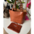 Shopper Suela (Pre-Order)