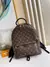 Mochila Louis vuitton palm spring MM