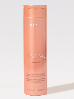 Shampoo Revital 250ml | Brae