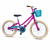 Bicicleta Infantil Nathor Lovely Aro 20