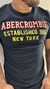 T-Shirt Abercrombie Bordado 08 - comprar online