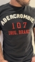 T-Shirt Abercrombie Bordado 11 - comprar online