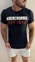 T-Shirt Abercrombie Bordado 21