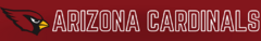 Banner da categoria ARIZONA CARDINALS