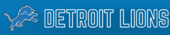 Banner da categoria DETROIT LIONS