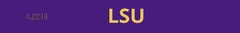 Banner da categoria LSU