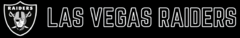 Banner da categoria LAS VEGAS RAIDERS