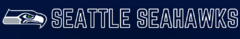 Banner da categoria SEATTLE SEAHAWKS