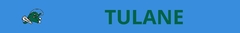 Banner da categoria TULANE