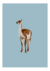 Print Guanaco