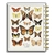 Imagem do Undated Papillon Butterfly Big Daily Planner 4-Months - Happy Planner