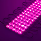 15983 MODULO 5 LED ROSA en internet