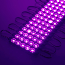 21598 MODULO 5 LEDS MORADO en internet